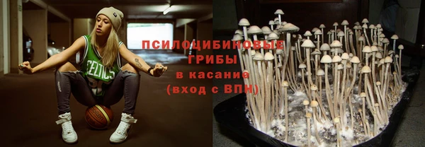 синтетический гашиш Богородицк