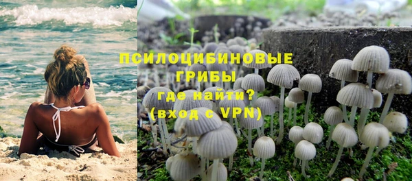 прущая мука Бронницы