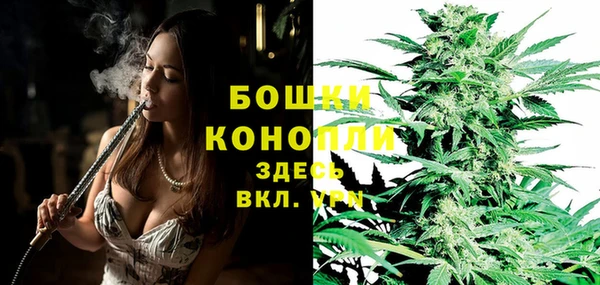 MESCALINE Бородино