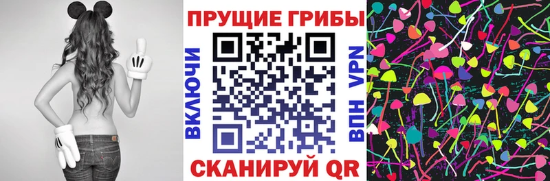 Галлюциногенные грибы мухоморы  Киржач 